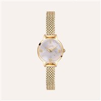 Montre Alviero Martini Femme Naxos in Acier 1702923